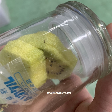 Kiwi Dryer